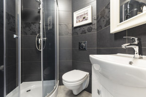 Black tiles on the wall in contemporary toilet